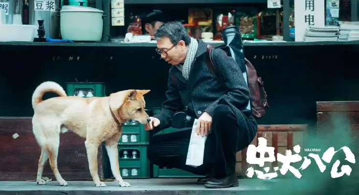 在国外有办法看优酷吗使用方法